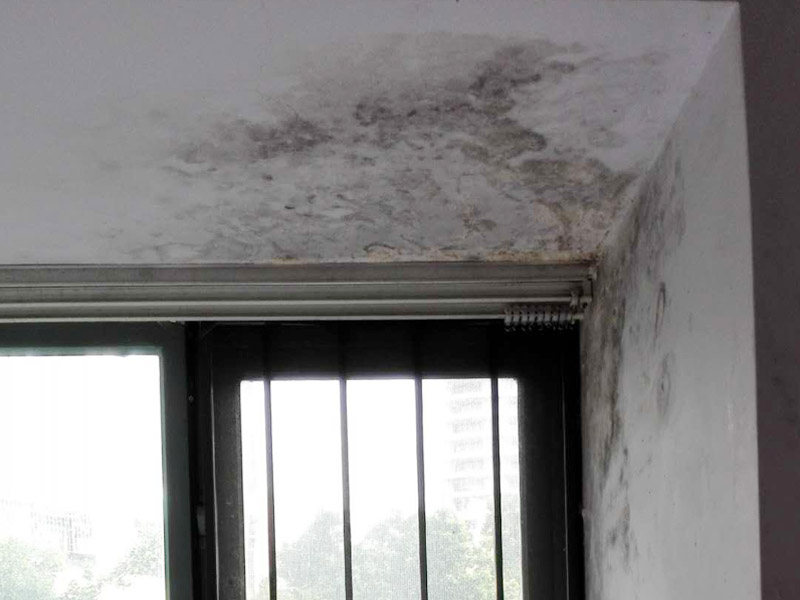 墻面起霉維修：墻壁起霉的處理：打磨、修補、刷防水涂料。
1、用砂紙打磨干凈，如果有脫層，用鏟刀處理平整；
2、如果墻面不平整，需要用膩子修補平整；如果墻面比較平整，建議先涂刷封閉底漆，然后再刷乳膠漆。
3、為了防止后期墻面再次發(fā)霉，建議再刷一層防水涂料、乳膠漆等。