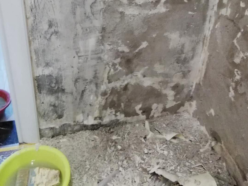 局部墻面修補維修：白墻或者裸墻局部鼓起或者輕微龜裂剝落的話，可以把出現(xiàn)問題的地方鏟除，并將鏟除后的邊緣磨平滑后，重新刮一次膩子，上底漆，再刷再涂，這樣就可以及時修補，不過可能會跟原來的墻面有一點色差。 對于局部剝落比較嚴重的情況，就有必要考慮是否是墻面基底根本沒做好的原因。將原墻體鏟除至墻面基層，用界面劑或者封固底漆重新涂刷一遍，再按照粉刷石膏找平、貼網(wǎng)格布(加固防裂)、批刮墻襯三遍后打磨平整，整個基層質(zhì)量此時就會好很多。