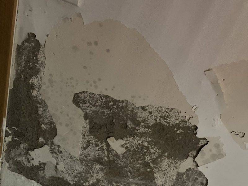 客廳吊頂裝修：客廳吊頂安裝前需要先畫好吊頂?shù)母鱾€尺寸，然后在房頂上固定好位置，再用沖擊鉆打孔，最后再把大龍骨用膨脹螺絲固定好。接下來將地上訂好的骨架托上天花板上，用方條當固定柱，并且橫豎都要打水平線來固定骨架，按照圖紙的的尺寸將多余的骨架鋸掉。下一步就是需要固定石膏板了，建議用十字架撐著吊頂上的石膏板，用螺絲加以固定，多余的石膏板需要切除。這樣之吊頂就差不多做好了。