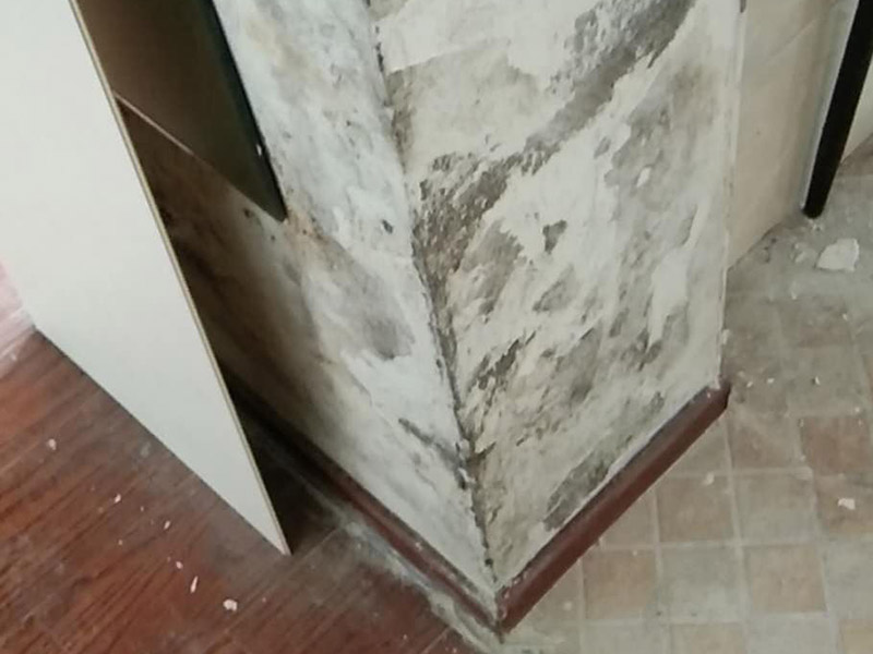 頂面墻面掛網(wǎng)裝修：新房毛坯房抹灰面未經(jīng)過任何處理的情況下,如果表面平整度、磨砂面均勻,無空鼓、裂痕,完全可以不必掛網(wǎng)。但是,對(duì)于水泥砂漿或是混合砂漿(大多數(shù)是)達(dá)不到上述要求和質(zhì)量,且表面的不均勻的細(xì)小紋理裂痕,采用掛網(wǎng)工藝,可以有效的避免后期的面層龜裂的產(chǎn)生,更好的保證墻面的質(zhì)量。特別是抹灰墻面長(zhǎng)久使用過程中,也會(huì)有一些生活過程中產(chǎn)生的震動(dòng)和共振,掛網(wǎng)對(duì)墻面整體面層會(huì)起到一定的保障作用的。