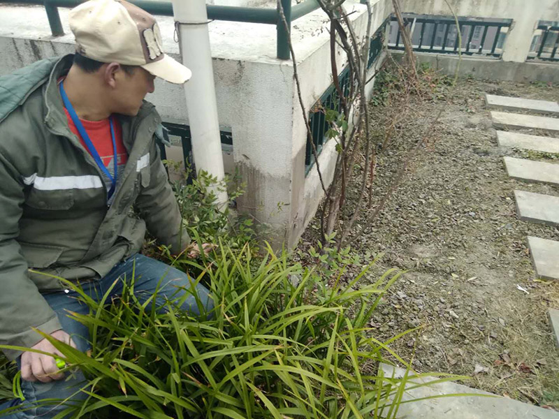 屋頂露臺看現(xiàn)場：如果防水師傅沒有檢驗基層，直接就刷防水涂料的話，那么基層比較差，后期肯定會發(fā)生滲漏問題的。當(dāng)然，有的朋友會說，即便發(fā)生這種情況，后果也是該師傅來承擔(dān)的。但事實上，真的沒有人會希望發(fā)生問題，畢竟在出現(xiàn)問題之后，會給自己生活帶來很大的麻煩。