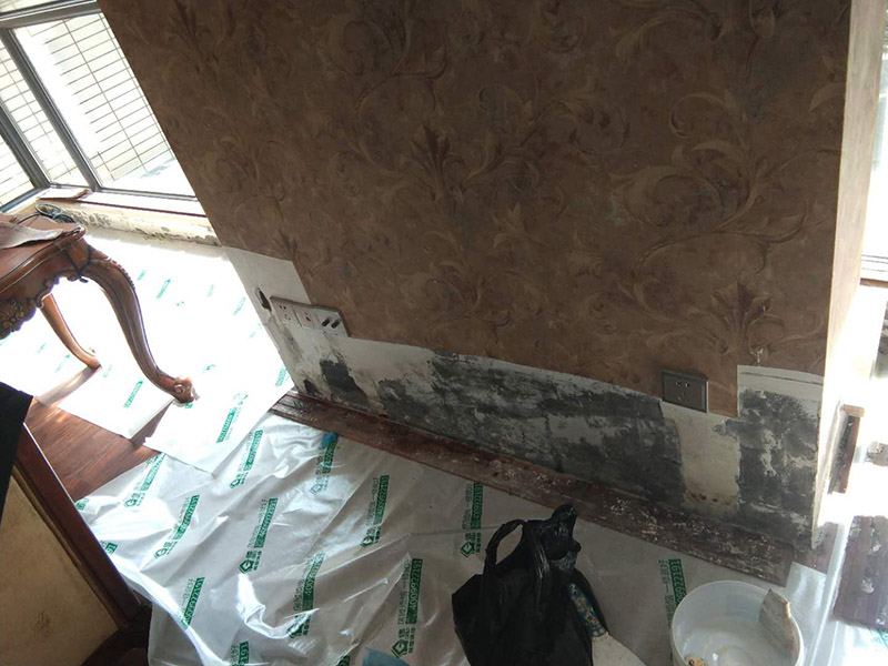 墻面發(fā)霉維修：衛(wèi)生間防水破壞，導(dǎo)致臥室墻面大面積發(fā)霉；在進(jìn)行維修時(shí)應(yīng)當(dāng)對(duì)發(fā)霉墻面以及乳膠漆基層進(jìn)行徹底的鏟除；對(duì)損壞位置的防水層進(jìn)行維修，必要時(shí)要對(duì)衛(wèi)生間進(jìn)行徹底的拆除維修；防水維修后測(cè)試防水性；開始重做乳膠漆基層，這里建議涂刷界面劑；涂刷新的乳膠漆完成本次維修。 環(huán)境潮濕，當(dāng)夏季梅雨季節(jié)到來時(shí)，應(yīng)做好通風(fēng)除濕工作；墻面受潮短時(shí)間內(nèi)如快速的處理讓其干透，是不會(huì)傷及根本引起發(fā)霉的，而且現(xiàn)在大多的乳膠漆有一定的防水性。除濕我們可以采用除濕機(jī)、除濕劑等方法。