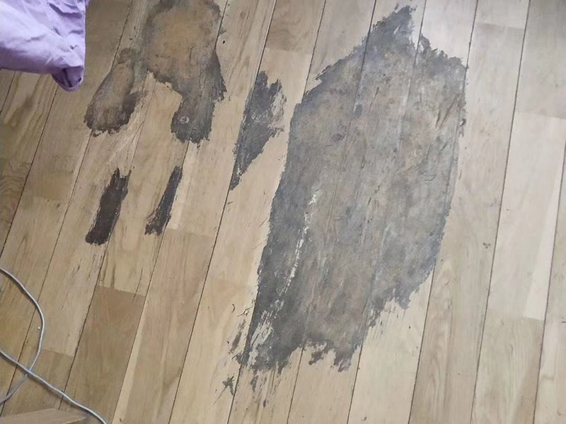 地板局部修復(fù):如果局部破損嚴(yán)重則需要先將需更換的地板破壞掉，然后徹底取出。 （1）先用工具將要更換的地板短邊處鑿出一個(gè)縫隙，再用鋸將需更換的地板表面鋸開(kāi)；然后將分成小片的地板取出，但一定要保證不破壞周?chē)牡匕澹?（2）然后將拆下的地板周?chē)哪z水清理干凈，并保證清理好的榫槽便于安裝，如果清理不徹底，接縫會(huì)不平或不嚴(yán)。可以用有新榫頭小片地板在接口上來(lái)回滑動(dòng)，找出殘留膠跡并清除，以保證修復(fù)后的地板美觀，同樣需要注意的是不要損壞周?chē)拈静郏?（3）接下來(lái)處理新地板，鋸掉新地板槽口一邊的下半部分并清理干凈整個(gè)榫槽，注意預(yù)留一些空間，因外涂抹膠水后會(huì)占用一定的空間； （4）最后將新地板安裝到需要替換的位置，將原四周地板榫頭涂滿(mǎn)膠水，并在新地板榫槽處也施上膠水，然后放在起下廢板塊的空隙處，先將長(zhǎng)邊榫舌與短邊榫舌的一角嵌入原四周地板的槽口邊，再用手按下槽口一邊，并墊木塊以專(zhuān)用工具輕輕砸入，注意安裝前先比一下長(zhǎng)度是否一致，如果新板長(zhǎng)了，可以修短一點(diǎn)，短了就只有拆裝整條地板了。