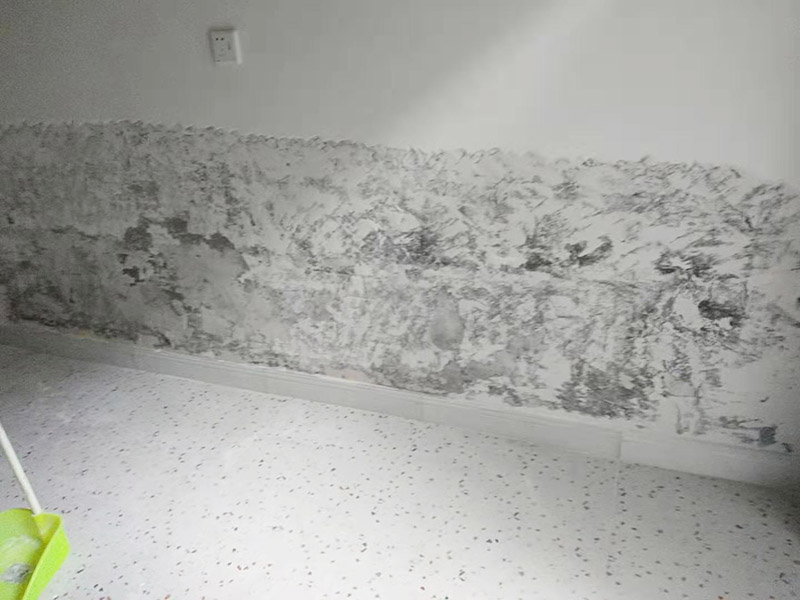 墻面局部鏟除防水：1、清理墻面：以鏟刀清除墻面已松動的膩子層。用鏟刀無法清除的膩子層，可以用小錘子輕輕敲擊，如果沒有空鼓的聲音，并且敲后仍不松動的地方可以保留原有的基層。 2、清洗墻面：用清潔水或洗滌靈將表面的浮塵、油污進行徹底清洗干凈，然后用高壓水槍進行徹底沖洗，清除已粉化的涂層。 3、修補墻面： （1）基層起皮的處理方法：鋼絲刷刷掉起皮的涂料面層，刷界面劑，重新進行涂料施工。 （2）基層裂縫的處理方法：開V型槽，掛抗堿玻纖網(wǎng)格布，水泥砂漿抹面，批刮柔性膩子，進行涂料施工。 （3）基層空鼓的處理方法：云石機切出空鼓的墻面，薄而多遍的水泥砂漿抹面，達到原有墻面的高度，刷界面劑，然后進行涂料施工。