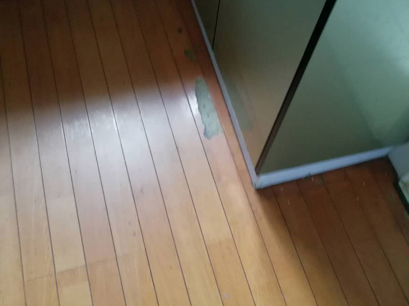 地板局部維修翻新：起下需替換的地板。用一字螺絲刀即將替換的地板短邊處鑿出一個(gè)1厘米長(zhǎng)的縫隙,再用曲線鋸將需替換的地板表面鋸成十字形的鋸縫;然后將分紅四小片的地板取出。 整理膠水。用鋼鋸條整理原接口殘留的膠水,并確保整理好的榫槽便于裝置,假如整理不完全,接縫會(huì)不平或不嚴(yán)。能夠用有新榫頭小片地板在接口上來回滑動(dòng),找出殘留膠跡并鏟除,使修正后的地板漂亮。