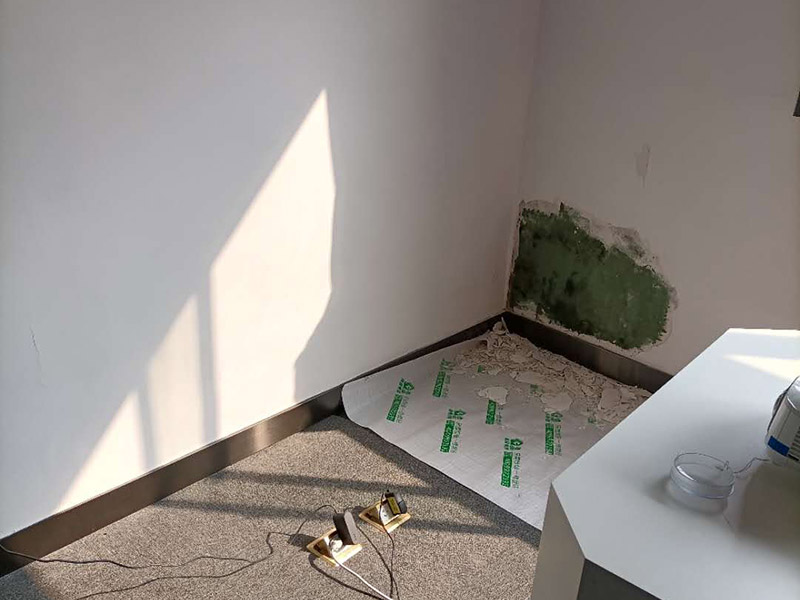 墻面局部修補施工:先將墻體破損凸出的地方鏟掉；取出從網(wǎng)上商城買的補墻膏補墻漆套裝；打開補墻膏，先攪拌均勻后，用小鏟抹少量補墻膏，填進坑洼起皮的部位，干燥24小時；隔天干后對墻體用砂紙打磨平整，用抹布把表面粉層擦拭掉；用補墻漆兌10%左右的水稀釋，攪拌均勻后用刷子涂在墻體上，進行2~3涂刷。