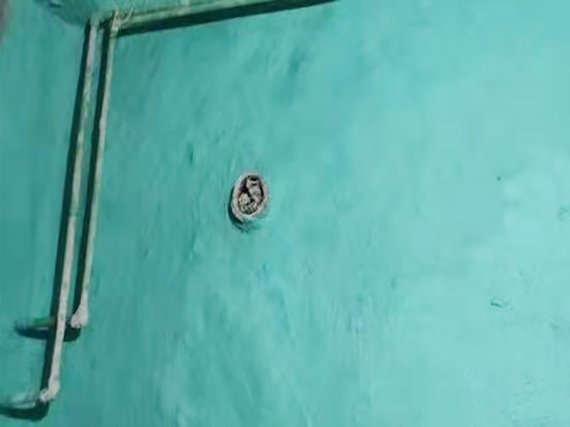 廁所地面刷防水：作防水前，一定要把需要作防水的墻面和地面打掃干凈，否則，再好的防水劑也起不到防水的作用。一般的墻面防水劑要刷到30厘米的高度。地面要全部刷到，而且必須等第一遍干了后，才能刷第二遍。防水重點(diǎn)位置：墻角位置，要多刷1－2遍。下水管周圍，要多刷1－2遍。防水做完了，不要以為就沒(méi)有事了，還要&ldquo;開閘放水&rdquo;，試水。試水一試就是24個(gè)小時(shí)，看周圍墻面有沒(méi)有滲水現(xiàn)象