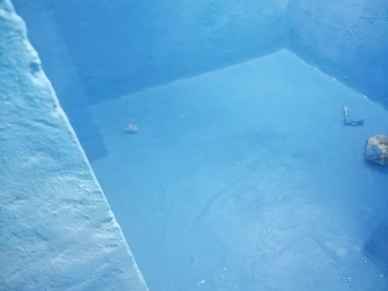 衛(wèi)生間防水維修: 鏟除原有的墻磚和地磚，這個(gè)步驟主要是針對(duì)老房二次裝修的，如果是新房可以跳過這個(gè)步驟，一般使用灰刀就可以，刮板也可以將原有的地磚鏟除掉。墻面將水電改造開槽用水泥封堵基層清理，細(xì)部附加層施工，在管根、地漏、陰陽角、等容易漏水的薄弱部位均勻涂刷，涂刷防水涂料兩遍，縱向橫向各涂刷一遍，做保護(hù)層，待防水干燥后放水做48小時(shí)閉水試驗(yàn)。