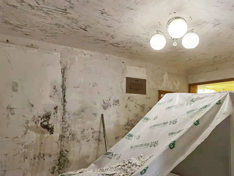 客廳墻面拆除翻新：墻面如果出現(xiàn)細(xì)微白色粉末，說明墻內(nèi)鹽分在析出，這時(shí)候建議大家可以用尼龍刷或鐵刷將其刷除，在觀察幾天，確定不再有白色粉末析出，且待水泥墻面干燥磨平，便可上漆。若水泥墻表面白色粉末多且不斷析出，將其清理后，可先上一道墻面底漆，預(yù)防日后鹽分侵蝕，形成壁癌。也不要在三個(gè)月內(nèi)使用油性涂料或不透水的壁紙涂刷或裝修?？梢允褂玫痘蚴氰F刷來除去墻面剝落的漆膜，然后利用砂紙將墻面表層磨平就可以了。用批土刀來修整墻體的表面，有的墻面會(huì)出現(xiàn)污漬、開裂、起泡等現(xiàn)象，都要及時(shí)做處理。墻面涂刷的時(shí)候應(yīng)該先從頂部開始