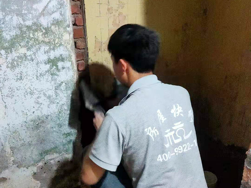 墻面抹水泥找平:步驟一：清理墻面；把墻面起皮和裂縫位置處理干凈，并用水泥砂漿補(bǔ)抹好，把殘留的灰渣鏟除干凈，然后把墻面清理干凈。需要注意的是：如果墻面吸水性比較強(qiáng)，要先用清水濕潤(rùn)或是噴刷膠水做封底處理。  步驟二：第一遍刮膩?zhàn)樱凰嗄娴膲γ孀詈门渲频琢?，不僅能降低工程造價(jià)，還可以提高施工的質(zhì)量。 步驟三：第二遍刮膩?zhàn)?；第一遍墻體干透后，可以上第二遍膩?zhàn)舆M(jìn)一步刮平。但是第二遍的膩?zhàn)诱{(diào)兌不易過稀，它的含水量別過大，要保證第二遍膩?zhàn)庸瓮亢蟮乃直M快被第一遍的膩?zhàn)游眨挥械鹊綁γ嫠譁p少到一定程度后方才可進(jìn)