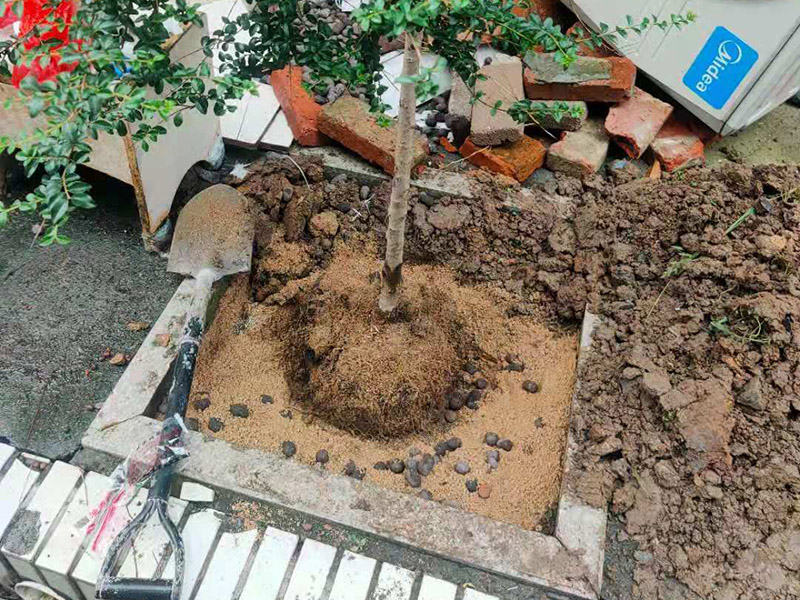 庭院植物底部防水：找到本來的防水層，由于防水層不是顯露的，是在面層下部，有必要將面層進行悉數(shù)根除，找到本來的防水層。將原防水層根除以后，找平，將本來下部保溫層里存的水進行排干，設(shè)一些排氣孔做排氣辦法，將保溫層里的水分排干。做完防水層以后，必定要做找坡處理，不要形成屋面部分存水，通常設(shè)置水泥砂漿找平找坡，找坡的斜度不小于3%。再進行閉水實驗，不漏水為合格，再進行康復(fù)上面的維護及鋪貼面磚裝修。