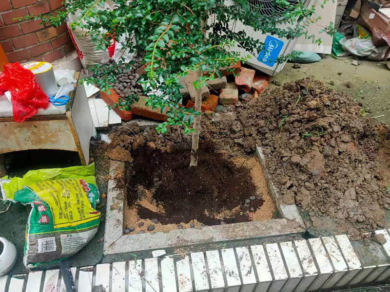 庭院植物底部防水：找到本來的防水層，由于防水層不是顯露的，是在面層下部，有必要將面層進行悉數(shù)根除，找到本來的防水層。將原防水層根除以后，找平，將本來下部保溫層里存的水進行排干，設(shè)一些排氣孔做排氣辦法，將保溫層里的水分排干。做完防水層以后，必定要做找坡處理，不要形成屋面部分存水，通常設(shè)置水泥砂漿找平找坡，找坡的斜度不小于3%。再進行閉水實驗，不漏水為合格，再進行康復(fù)上面的維護及鋪貼面磚裝修。