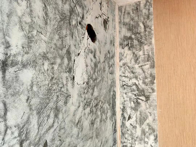 墻面滲水拆除刷防水