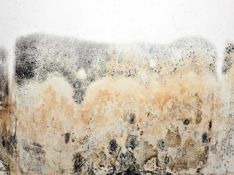 墻面發(fā)霉怎么處理妙招整理，搞清楚發(fā)霉原因?qū)ΠY下藥才能藥到病除