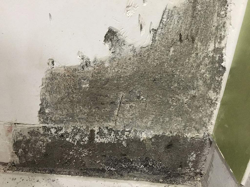 梅雨季節(jié)墻壁發(fā)霉怎么處理，為大家整理的小竅門來(lái)了