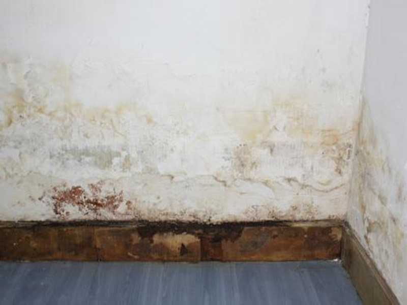 墻面發(fā)霉怎么處理妙招整理，搞清楚發(fā)霉原因?qū)ΠY下藥才能藥到病除