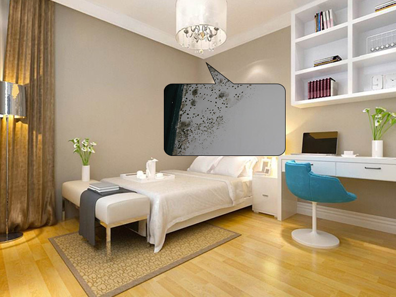 驚了！原來墻體發(fā)霉會對人體存在危害，